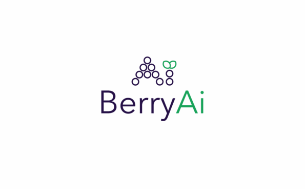 BerryAi